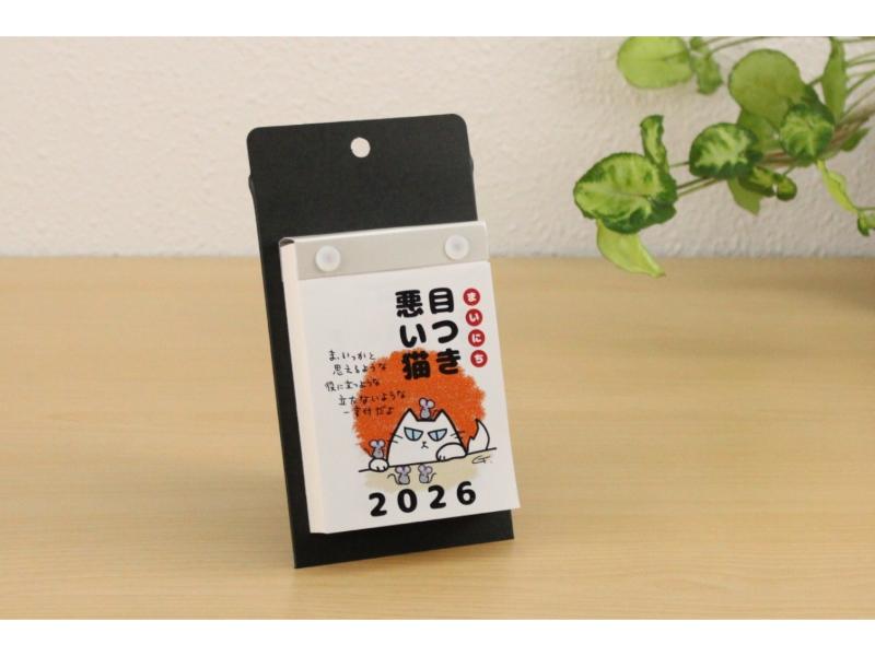 日めくり まいにち目つき悪い猫 3号