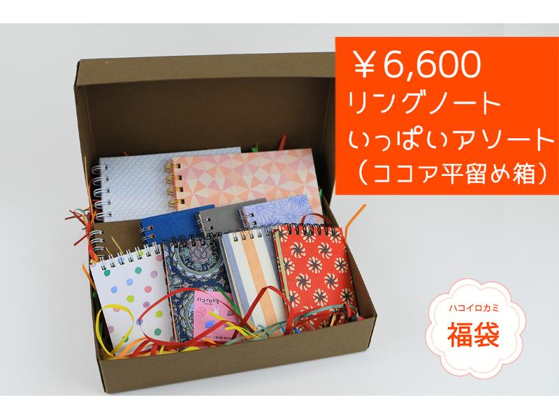 リングノートいっぱいアソート　ココア平留箱