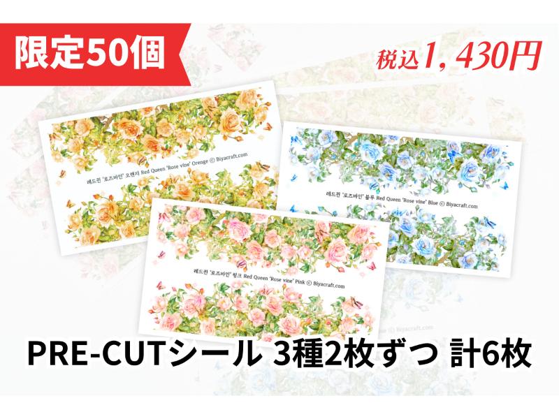 はじまりのPETセット