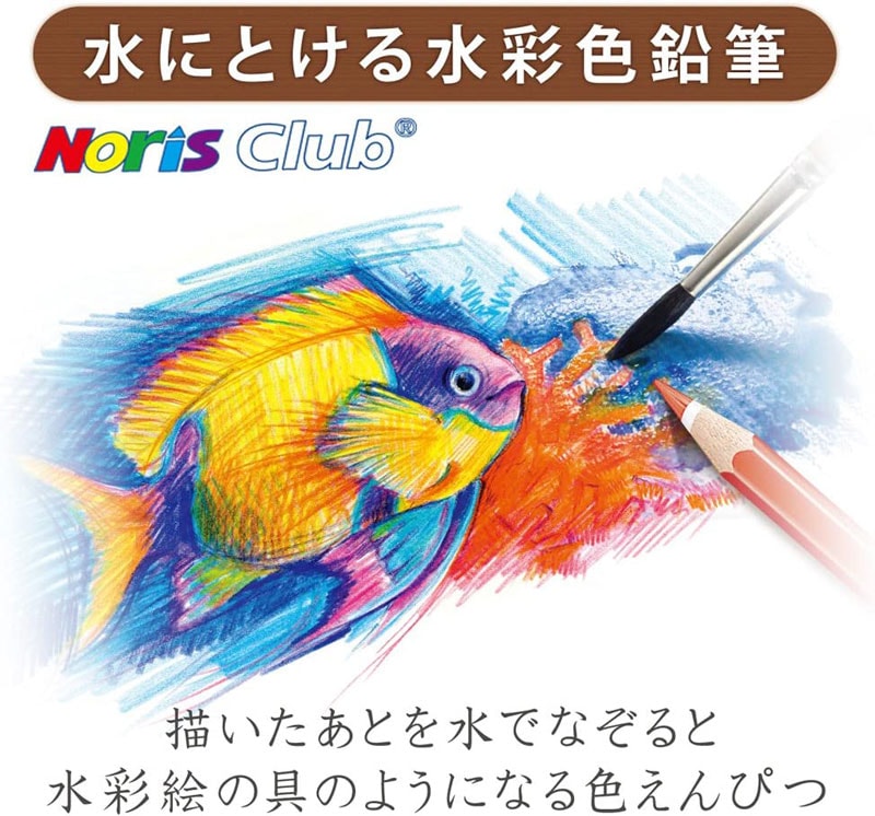色鉛筆画、水彩画(高級額付き)