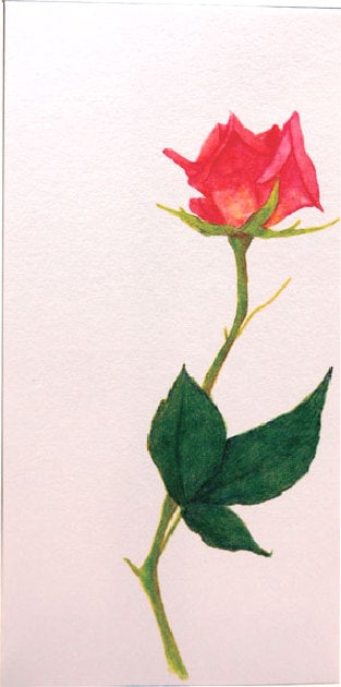 多目的に使える和紙のぽち袋（長）　バラ