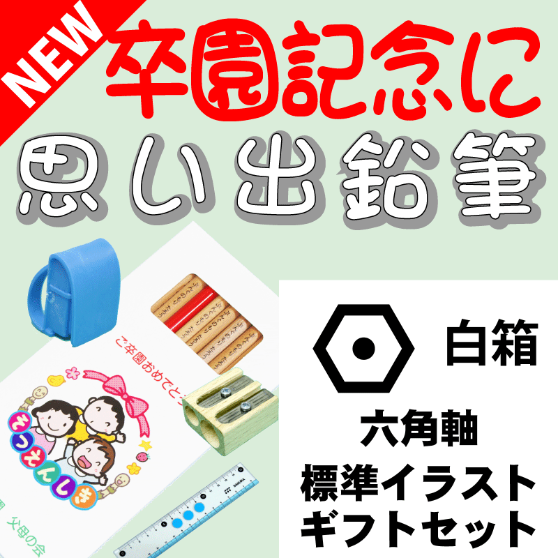 こんな鉛筆が欲しかった 思い出鉛筆 六角軸・標準イラストタイプ・ギフトセット 卒園記念品 卒業記念品 名入れ 文具の森オリジナル プレゼント ギフト