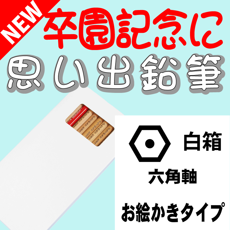 こんな鉛筆が欲しかった　思い出鉛筆　六角軸・お絵かきタイプ 卒園記念品 卒業記念品 名入れ 文具の森オリジナル プレゼント ギフト 即納可