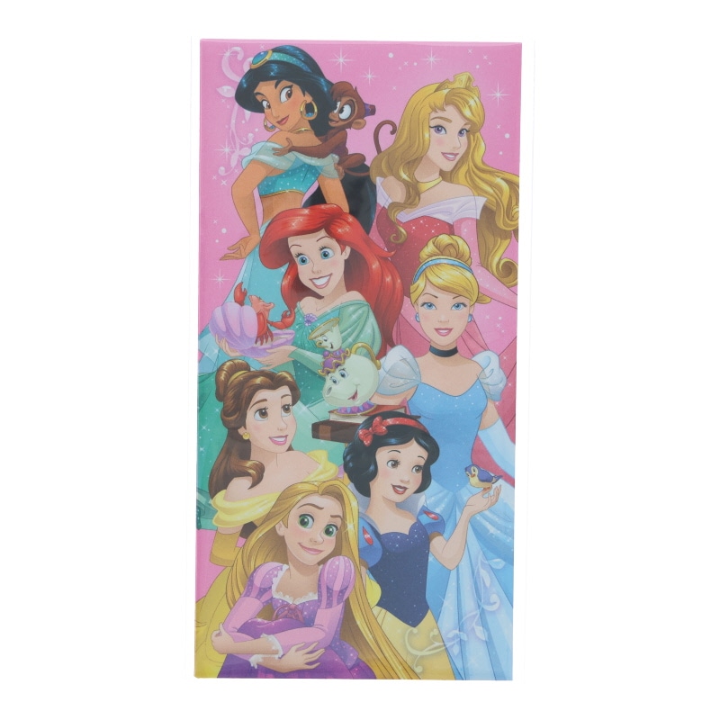 ディズニープリンセス ポチ袋 2枚入り 札用 新札 2025 正月 祝い プレゼント キャラクター 日本製