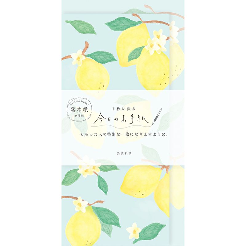 古川紙工 1枚に綴る今日のお手紙 レモンの花 特別な一枚にしよう 日本製 のし袋 ミニレター 金封 美濃和紙