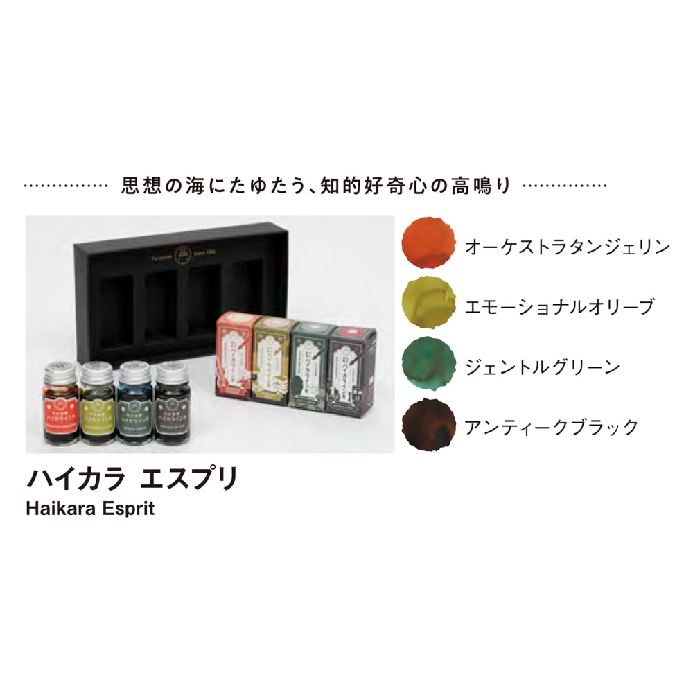 寺西化学 ギター 大正浪漫ハイカラインキ 4色セット ハイカラ エスプリ ミニボトル 限定モデル プレゼント 万年筆インキ 日本製
