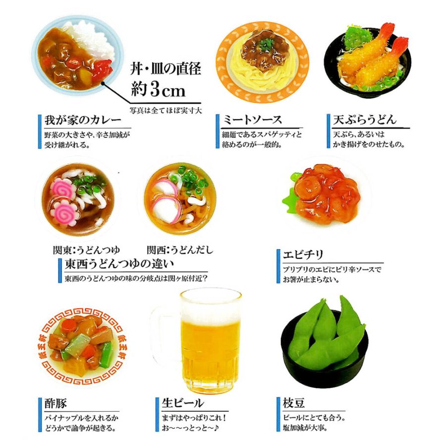 大人の図鑑 ミニチュアマグネット vol.2 9個 コンプリートセット 精巧 プレゼント おみやげ カミオジャパン