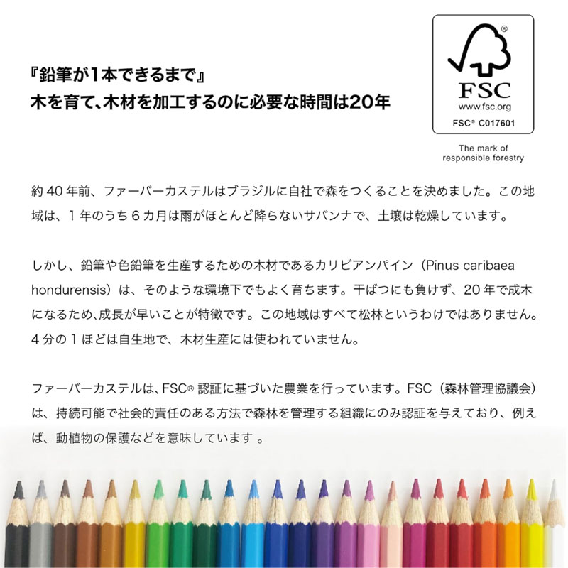 ファーバーカステル 色鉛筆 100色 名入れ無料 贈り物 入学祝