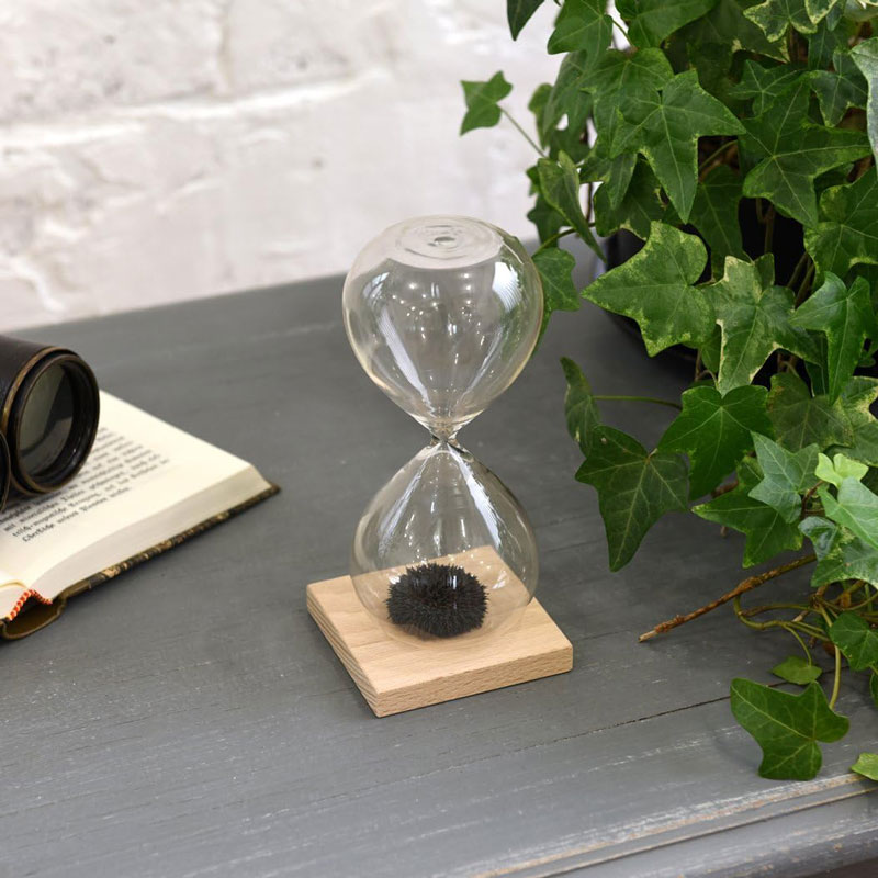 Fun Science 砂時計 1分計 マグネティックアート オシャレ インテリア