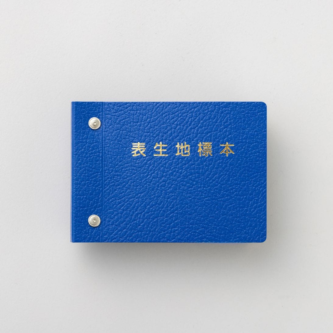 表生地標本集