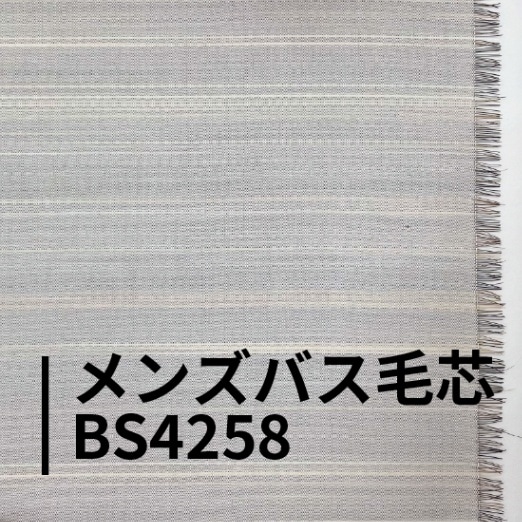 メンズバス毛芯ＢＳ４２５８