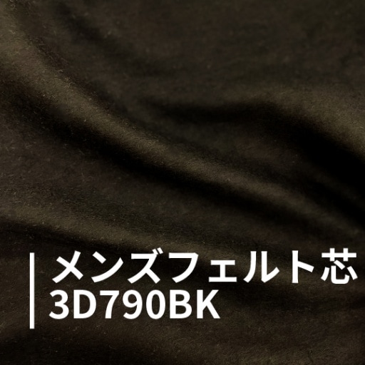 メンズフェルト芯黒３Ｄ７９０