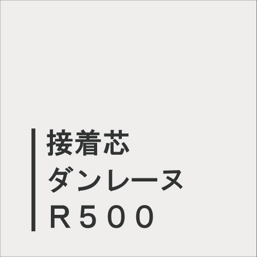 ダンレーヌＲ５００