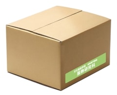 ��2026����������� ʸ�������ر� ���������������ʥ��å�