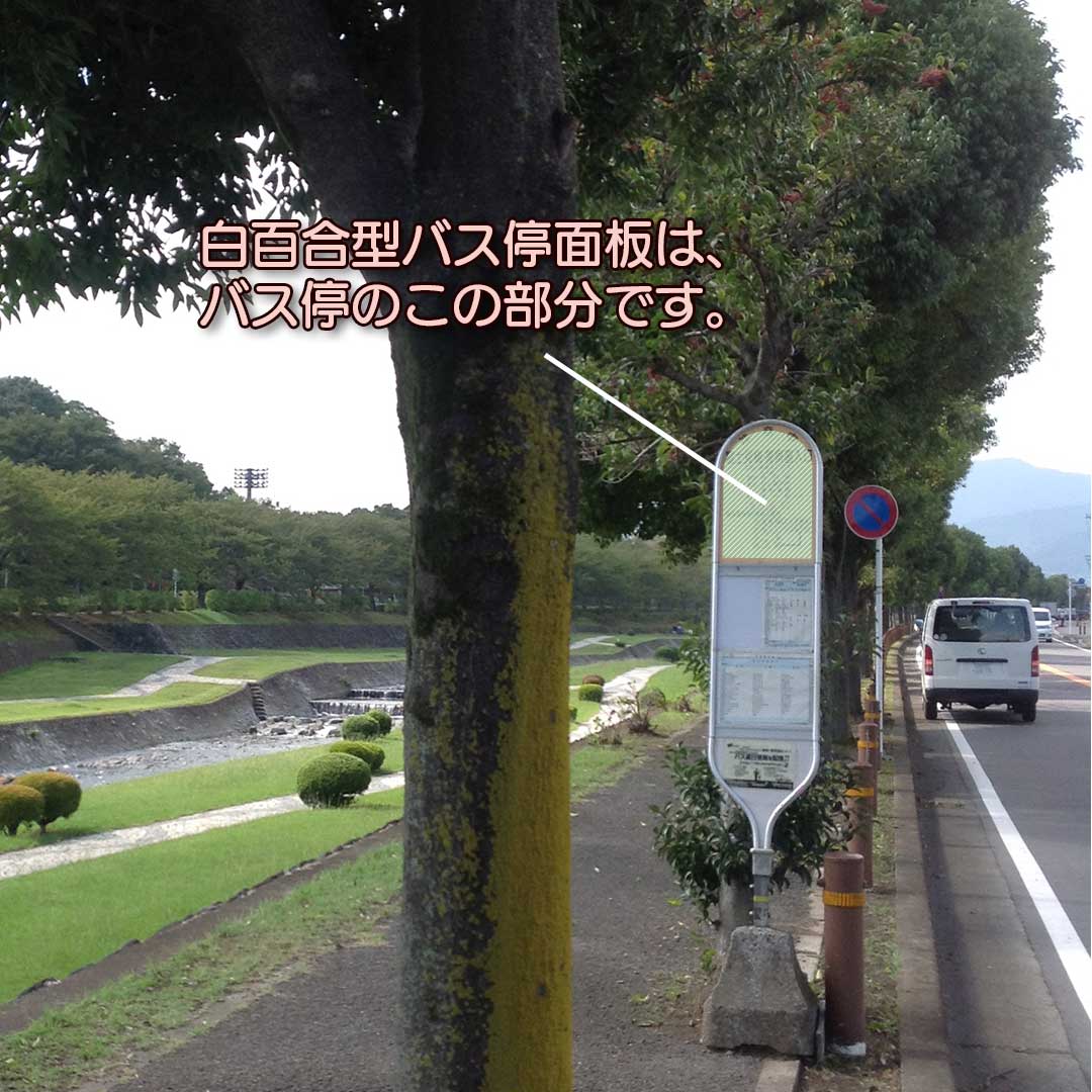 神奈川中央交通〉白百合型バス停面板（新磯野五丁目） | 会社名,神奈川