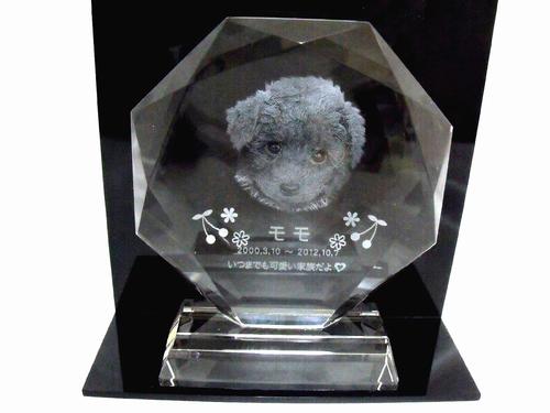 【 ペット位牌 】 位牌 クリスタル位牌 星型 <br> 遺影 モダン位牌 ペット仏具 モダン仏具 手元供養 犬 猫 ペット供養 刻印サービスつき 送料無料