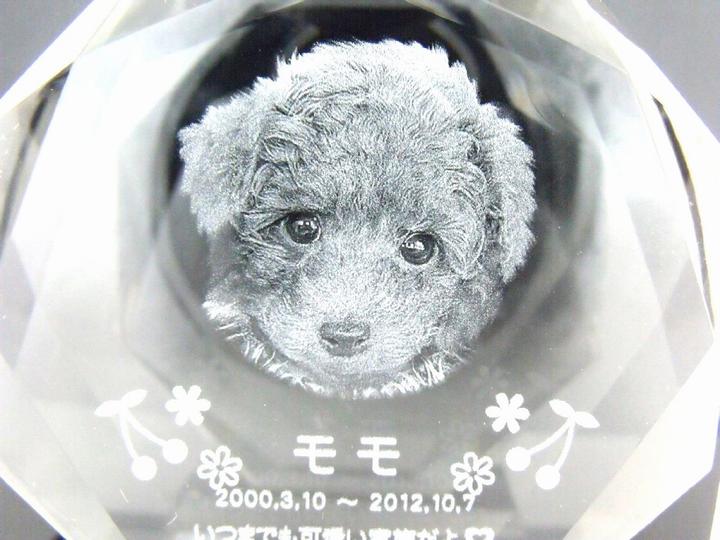 【 ペット位牌 】 位牌 クリスタル位牌 星型 <br> 遺影 モダン位牌 ペット仏具 モダン仏具 手元供養 犬 猫 ペット供養 刻印サービスつき 送料無料