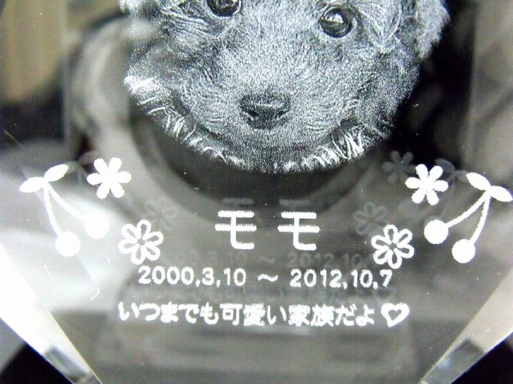 【 ペット位牌 】 位牌 クリスタル位牌 星型 <br> 遺影 モダン位牌 ペット仏具 モダン仏具 手元供養 犬 猫 ペット供養 刻印サービスつき 送料無料