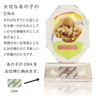 ペット 位牌 クリスタル 【DNA stock assist】虹のかけ橋 ホログラム入り 【 大切なあの子のDNAを保存 】DNA 保存 【 いのちを残す 】フルカラープリントサービス 写真彫刻 犬 猫 お供え ペット位牌 メモリアル 思い出 ギフト ペット仏具 記念碑 形見