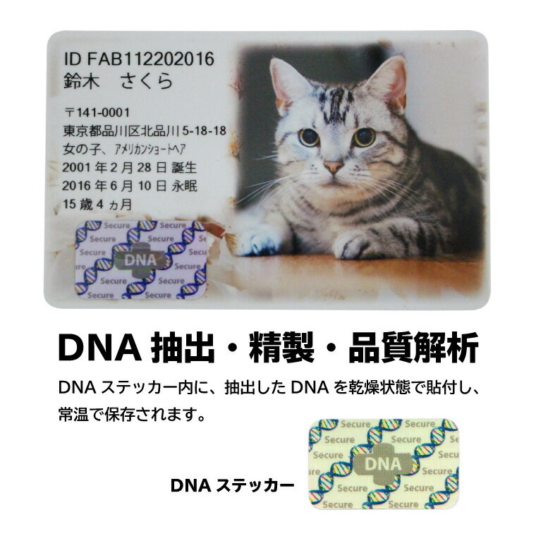 ペット DNA保存 メモリアル フォトカード【DNA stock assist】ホログラム フルカラープリント 記念品 誕生日記念 表彰 ギフト プレゼント メモリアル 思い出