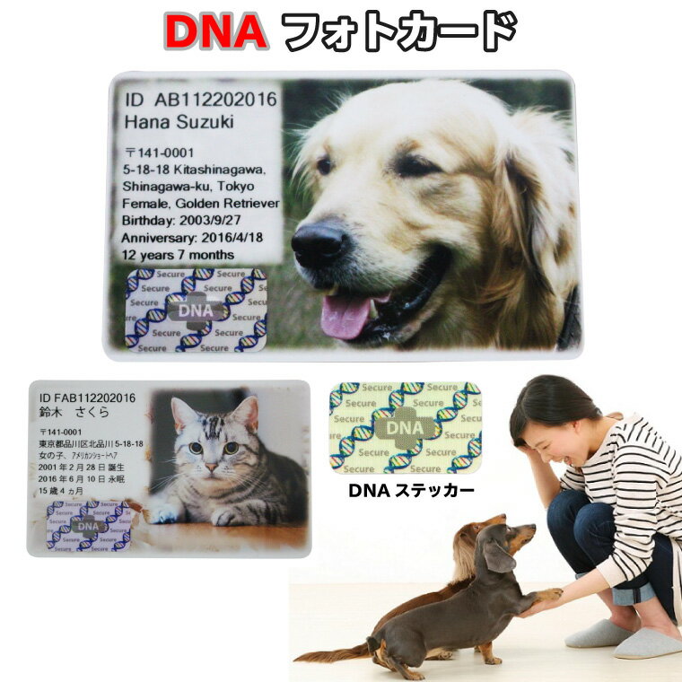 ペット DNA保存 メモリアル フォトカード【DNA stock assist】ホログラム フルカラープリント 記念品 誕生日記念 表彰 ギフト プレゼント メモリアル 思い出