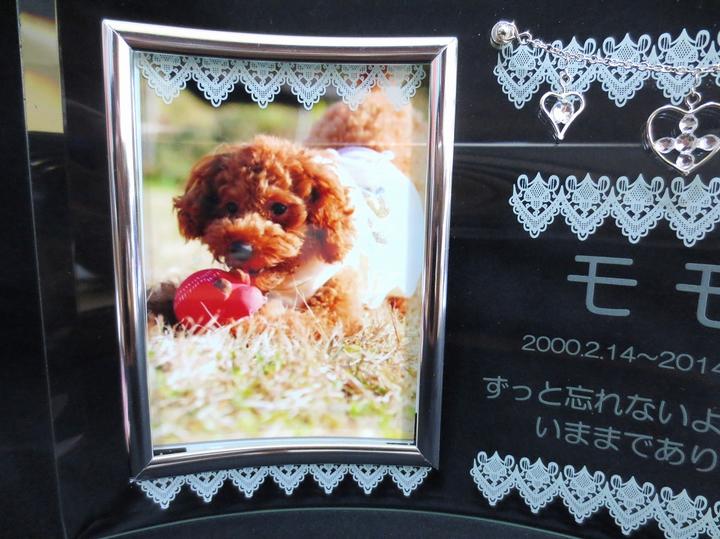 【 ペット位牌 】 位牌 クリスタル位牌 メモリアルフォトフレームスタンド きらめくラインストーン&レース <br> 遺影 モダン位牌 ペット仏具 モダン仏具 手元供養 犬 猫 ペット供養 刻印サービスつき 送料無料
