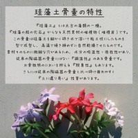 ［アスベスト検査済み］ペット骨壷 珪藻土 切立 5寸 選べる あの子のシルエット アウトライン 素彫り 犬・猫種別