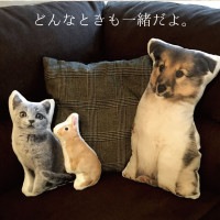 ペット メモリアル グッズ オーダーメイド クッション Sサイズ 写真で作る オリジナル フルーカラー プリント　記念品 思い出|遺骨入れ・信楽焼|骨壷