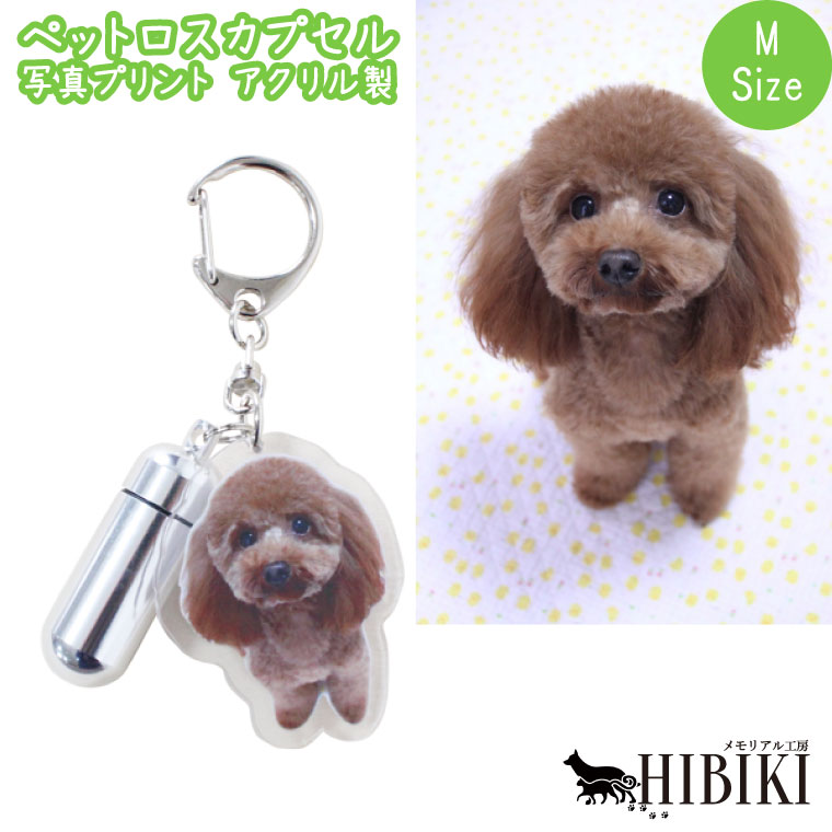 ペットロスカプセル メモリアル カプセル Mサイズ キーホルダー 写真プリント アクリル バッグチャーム ペット供養