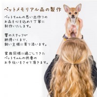 ペット骨壷 桐製 木箱 組み木 4寸用 フルカラープリント 写真入り オリジナル 骨壺 ペット供養|骨壷|骨壷