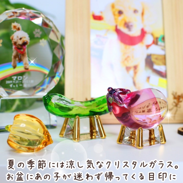 どんぐりアート 鬼灯と夏のタヌキの里 置物 Amazon.co.jp: 最終 母の日ギフトどんぐりアートプレゼント豆