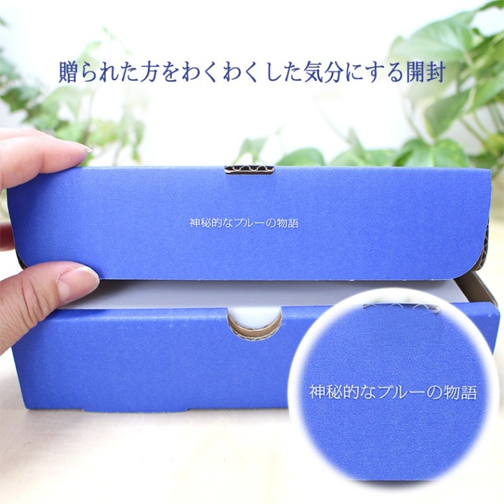 filanso│パイロゲンカートカンが125mlにサイズ変更