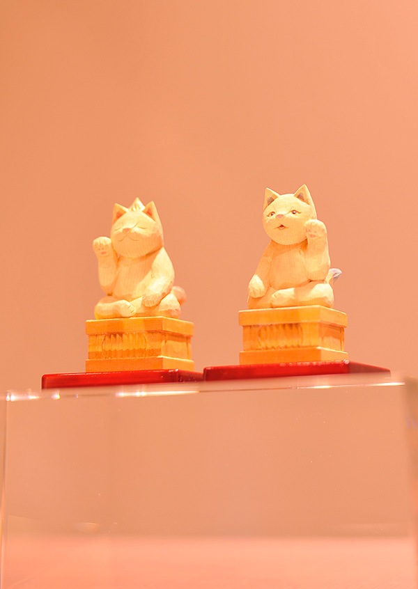 柴猫様 Give me back my kitten!! 💢] Shiba Inu and Pomeranian Fighting for