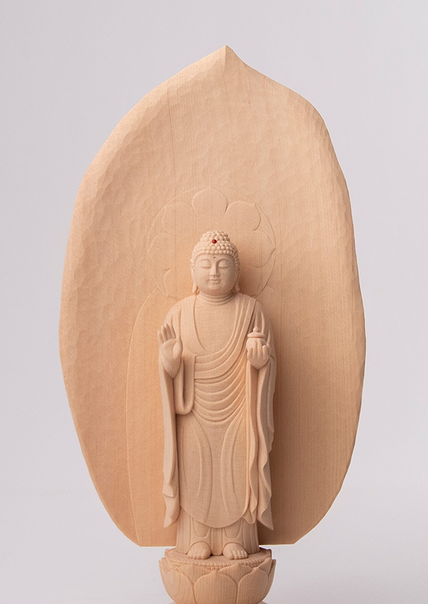 5_000000000895.jpg?1678209903