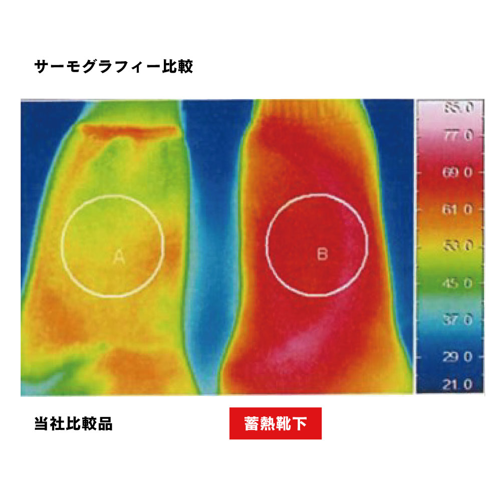 JW-231 BTサーモ エボ 蓄熱オールパイルソックス 先丸 2足組