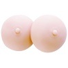 練習用バスト/2P|サロン消耗品/小物