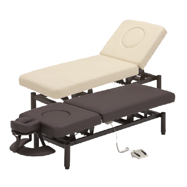 FV-223R エレクトリックリクライニングメモリーDX FV-223R