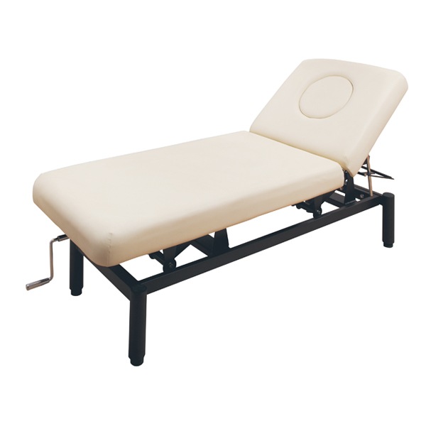 FV-222R ハイローリクライニングベッド 枕3点セット付き FV-222R