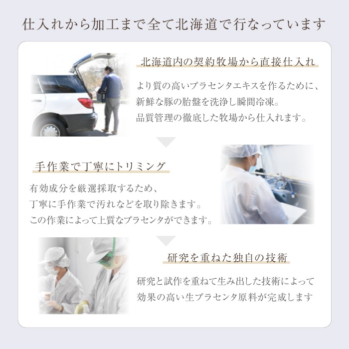 プラリュス 生プラセンタ炭酸ミスト 100mL