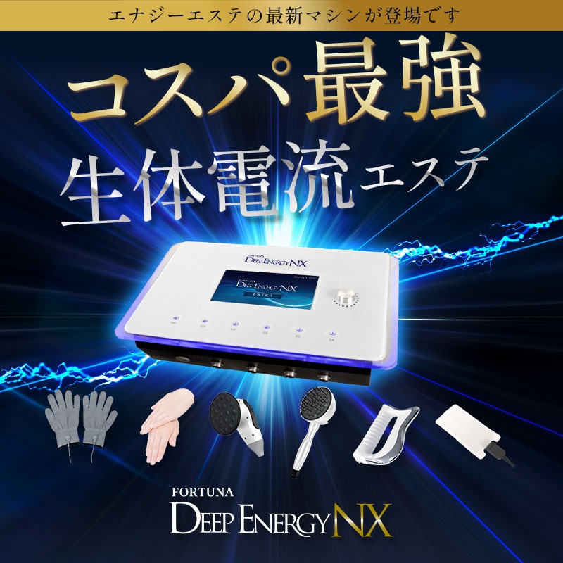 【アウトレット 限定2台】FORTUNA DEEP ENERGY NX