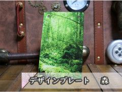 �������ǥ�����ץ졼�� ��