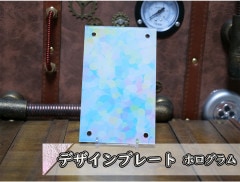 �������ǥ�����ץ졼�� �ۥ������