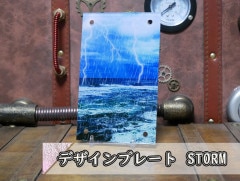 �������ǥ�����ץ졼�� STORM