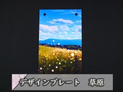 �������ǥ�����ץ졼�� ��