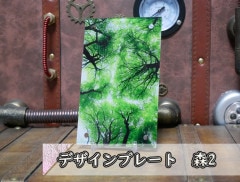 �������ǥ�����ץ졼�� ��2