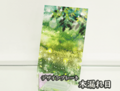 �������ǥ�����ץ졼�� ��ϳ����