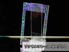 �������ե졼�� �ۥ������