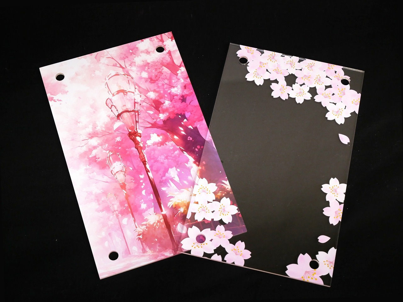 �������ǥ�����ץ졼�ȥ��åȡ���