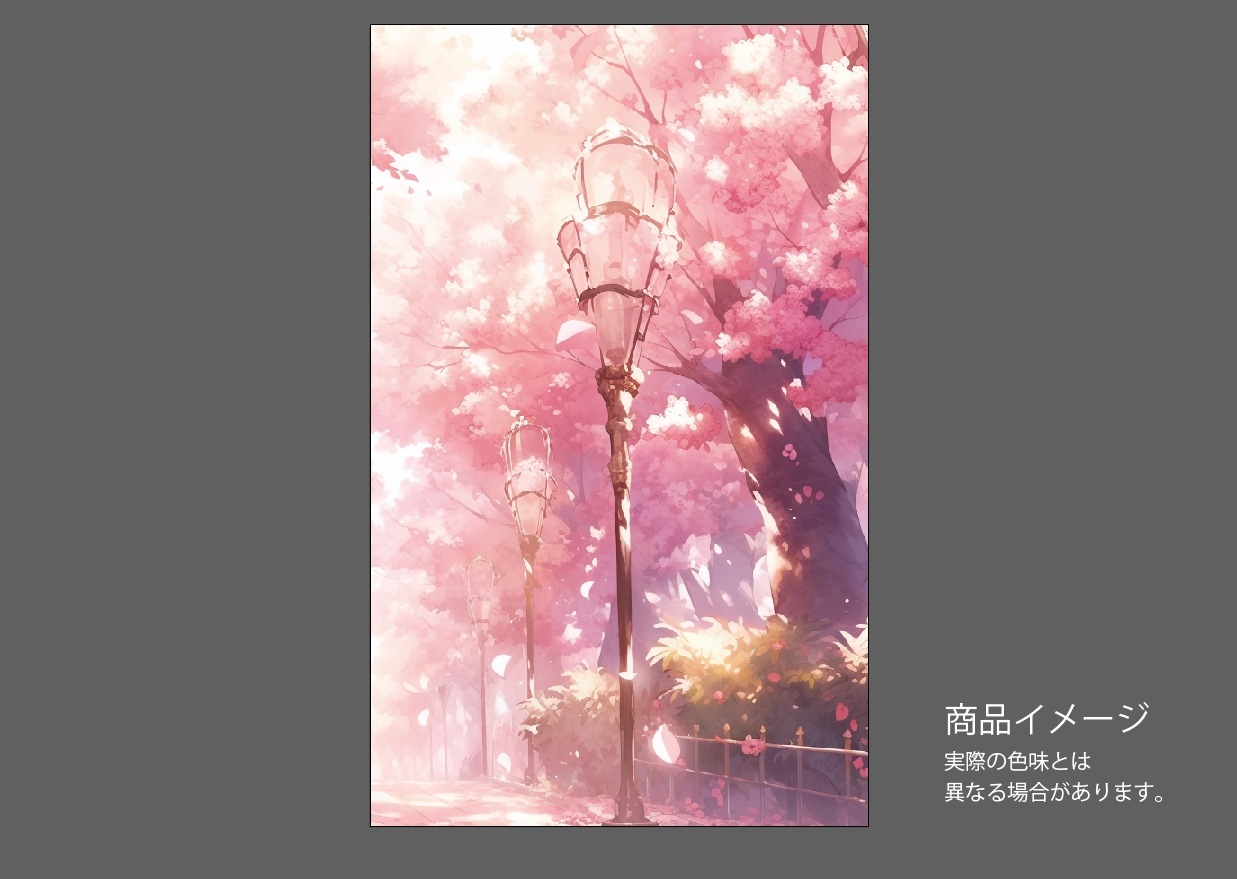 �������ǥ�����ץ졼�ȥ��åȡ���