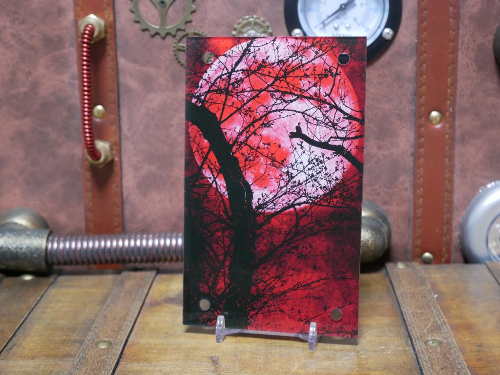 �������ǥ�����ץ졼�� �ȷ�